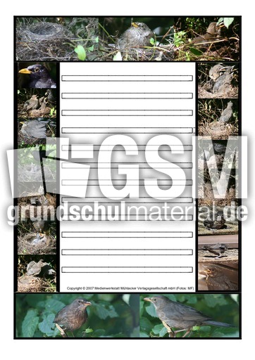 Schmuckrahmen-Amsel.pdf